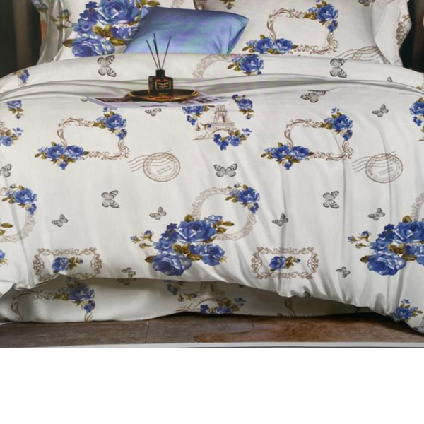 Generic Drap Lit double et 2 taies d'oreiller