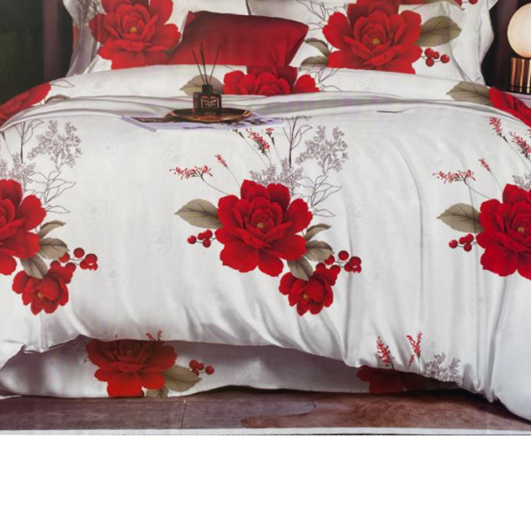 Generic Drap Lit double et 2 taies d'oreiller
